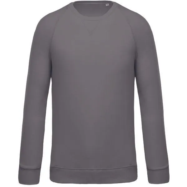 Greenspired Greenspired Herren Bio Raglan Sweatshirt 300g/m² S - 3 XL, Sturmgrau, – Produktbild 1 von 1
