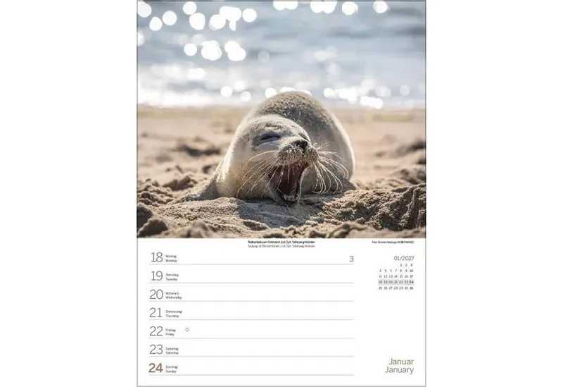 Korsch Verlag Wandkalender Nord- und Ostsee Wochenkalender 2027 – Produktbild 3 von 4