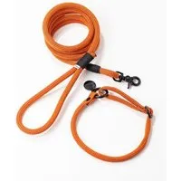 soulseil soulseil Hundeleine/Halsband, Set, Gelb, – Produktbild 1 von 1