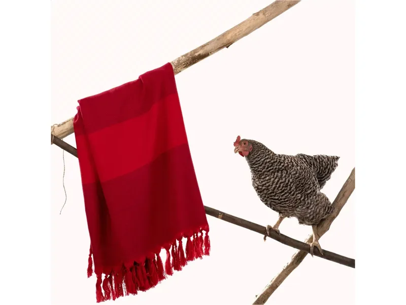 HängemattenGlück HängemattenGlück Hamam Strandtuch Maße 100 x 180 cm, Rot, – Produktbild 2 von 2
