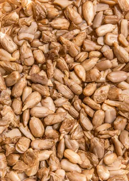 KoRo Gekeimte Bio Sonnenblumenkerne 1 kg – Produktbild 1 von 1