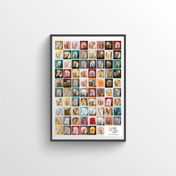 Himal Hemp 78 Vulven Vulva-Poster 594 x 841 mm von Himal Hemp und Vulvarium – Produktbild 1 von 4