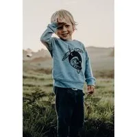 Zeachild Zeachild Turtle Hoodie Kids – Produktbild 1 von 1