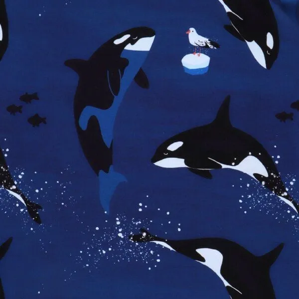 Walkiddy Kleinkinder Langarmshirt Playful Orcas aus weicher Baumwolle von Walkiddy, Dunkel blau, – Produktbild 2 von 3
