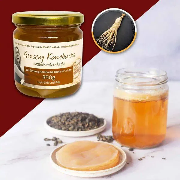 Wellness-Drinks Ginseng Kombucha Drink mit Teepilz (mittel) – Produktbild 2 von 4