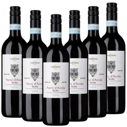 TerrAmore TerrAmore Bio-Nero d Avola Sicilia DOC TerrAmore Italien  trocken - 6er Karton – Produktbild 1 von 1