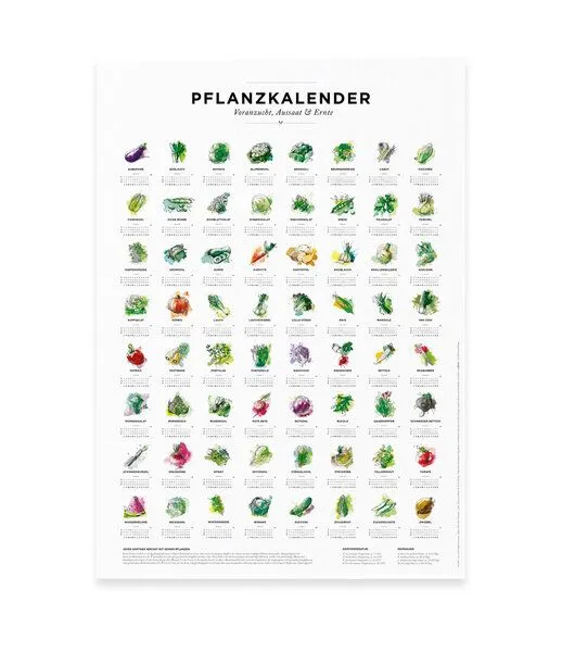 531 Rheinland Design 531 Rheinland Design Pflanzkalender und Aussaatkalender für den Garten – Produktbild 1 von 4