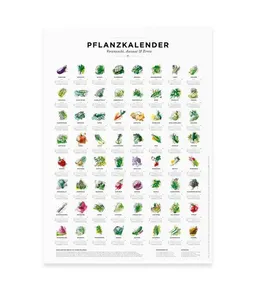 531 Rheinland Design 531 Rheinland Design Pflanzkalender und Aussaatkalender für den Garten – Produktbild 1 von 1