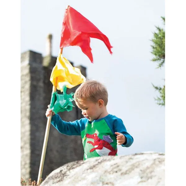 Frugi Frugi Langarm-Shirt Drachen in petrol-grün – Produktbild 2 von 3