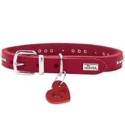 Dog Sport Dog Sport HUNTER Hundehalsband aalborg hearts rot XXS-XS – Produktbild 1 von 1