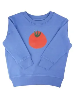 MelaDi Meladi Kinder Sweater aus Biobaumwolle - Tomate auf Aqua Blue – Produktbild 1 von 1