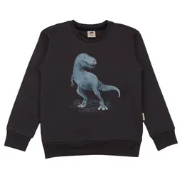 Walkiddy Jungen Sweatshirt Anthracite aus weicher Baumwolle von Walkiddy – Produktbild 1 von 1