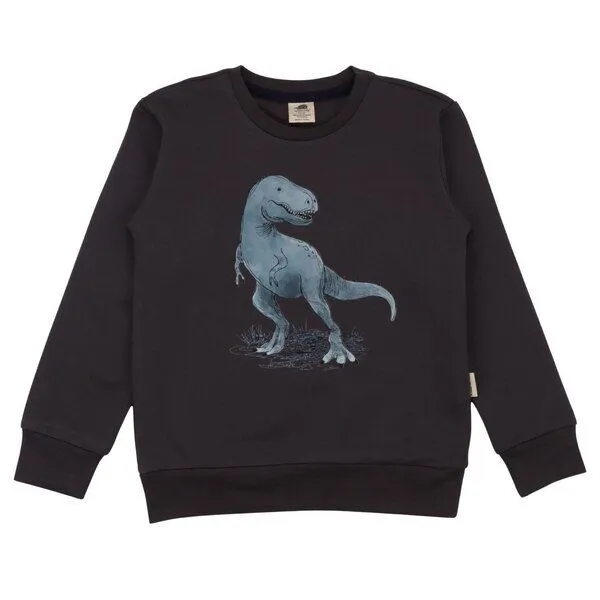 Walkiddy Jungen Sweatshirt Anthracite aus weicher Baumwolle von Walkiddy, Anthrazit, – Produktbild 1 von 3