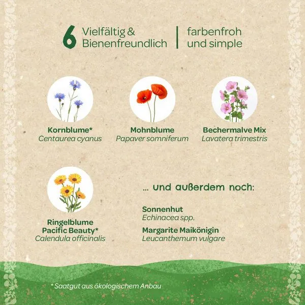 Die Stadtgärtner Die Stadtgärtner Saatgut-Set "Wildblumen" – Produktbild 1 von 3