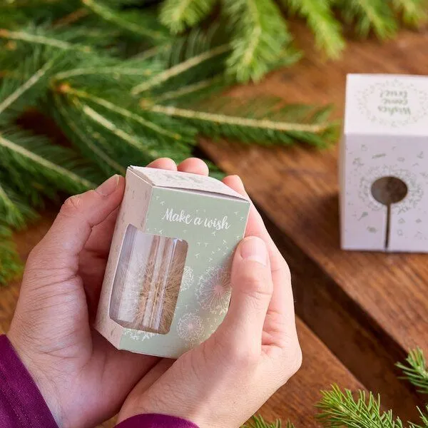 Die Stadtgärtner Die Stadtgärtner Wunscherfüller – Geld kreativ verpacken I Geschenkidee für Mama, Frau, Freundin zu Weihnachten und Geburtstag, Rosa, – Produktbild 3 von 3
