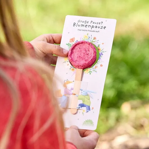 Die Stadtgärtner Die Stadtgärtner Blumenlolly mit Wildblumen-Saatgut | Lolly aus Baumwollfasern am Holzstiel | Zum Einpflanzen & Weiterwachsen | Kreative Geschenkidee für Kinder, Schultüte, Einschulung & Schulalltag – Produktbild 1 von 2