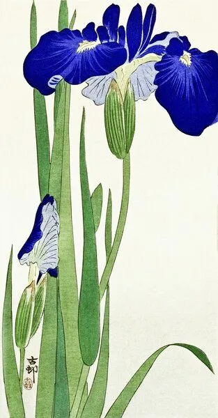 Photocircle Photocircle Poster / Leinwandbild - Irisblumen von Ohara Koson – Produktbild 1 von 1