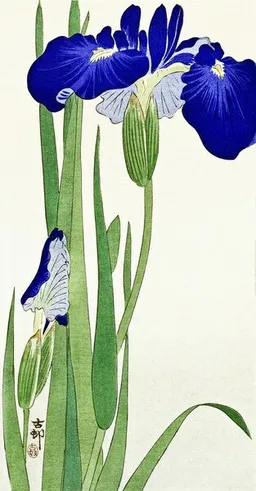 Photocircle Photocircle Poster / Leinwandbild - Irisblumen von Ohara Koson – Produktbild 1 von 1