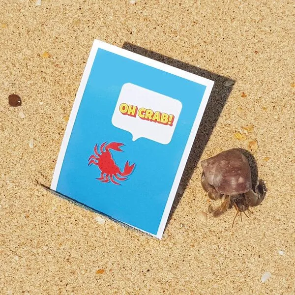Bow & Hummingbird Bow & Hummingbird Postkarte "Oh crab" – Produktbild 3 von 3