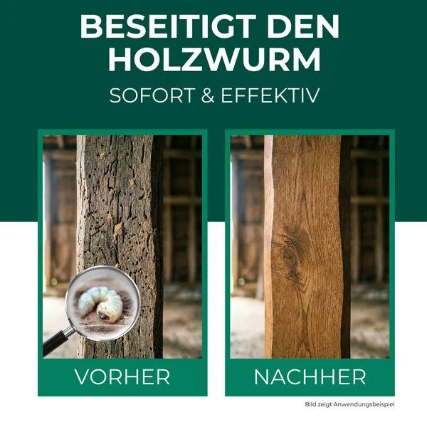 Silberkraft Silberkraft Holzwurm Spray gegen Holzwürmer, Holzbock & Nagekäfer für Innen & Außen inkl. E-Book – Produktbild 2 von 4