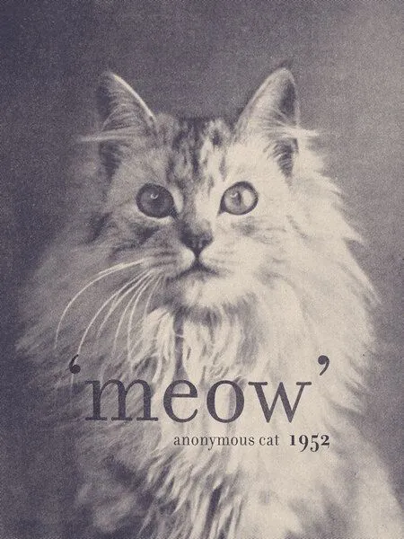 Photocircle Photocircle Poster / Leinwandbild - Famous Quote Cat – Produktbild 1 von 4