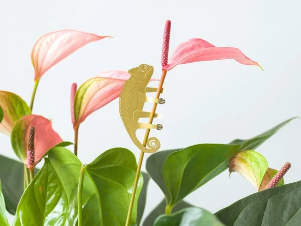 another studio another studio Plant Animal - Design Pflanzendekoration - Figuren aus Messing, Chamäleon, – Produktbild 3 von 4
