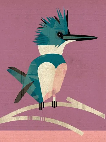 Photocircle Photocircle Poster / Leinwandbild - Eisvogel – Produktbild 1 von 4