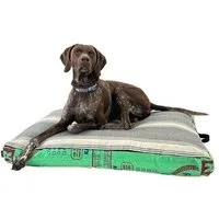 GOOPSI GOOPSI Hundebett mit BIO-Dinkelfüllung, Hundekissen - versch. Farben, Grün, – Produktbild 1 von 1