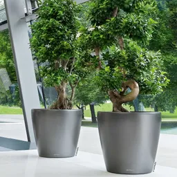 Lechuza® Lechuza® 'Classico 70', anthrazit, ca. Ø 70 x H 64,5 cm – Produktbild 1 von 1