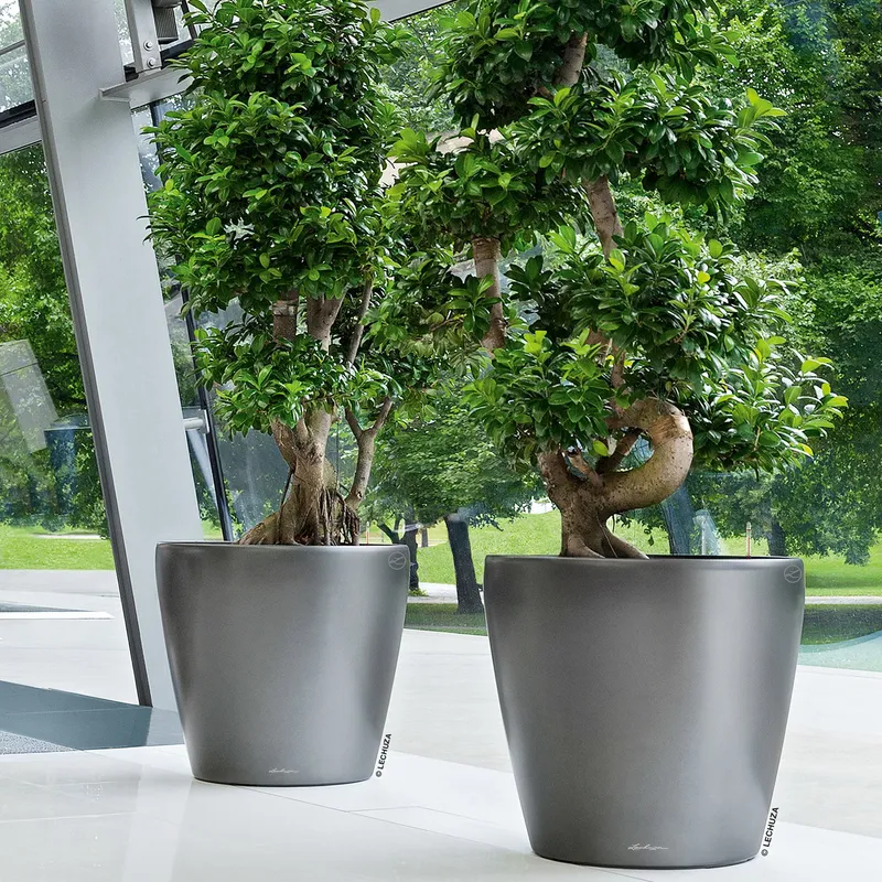 Lechuza® Lechuza® 'Classico 70', anthrazit, ca. Ø 70 x H 64,5 cm, Grau, – Produktbild 1 von 1