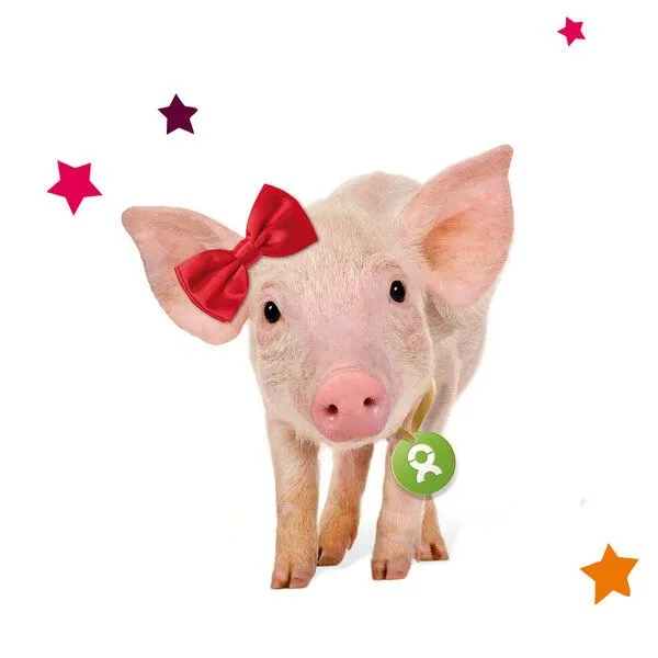 OxfamUnverpackt OxfamUnverpackt Spenden-Geschenk "Ferkel" (Weihnachtskarte mit Magnet) – Produktbild 1 von 2