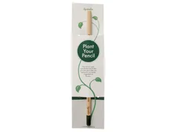 Sprout Sprout Bleistift mit Samenkapsel und Karte Koriander – Produktbild 1 von 1