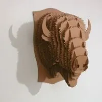 Cardboard Safari Cardboard Safari Billy Jr. - bison trophy – Produktbild 1 von 1