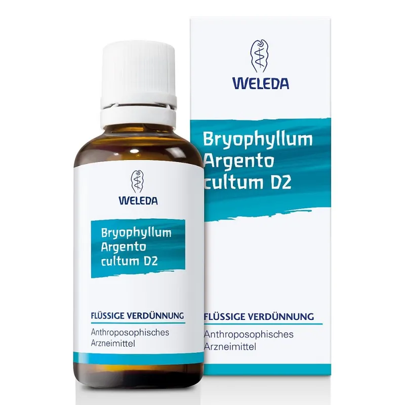 Weleda Bryophyllum Argento Cultum Dilution D2 – Produktbild 1 von 1