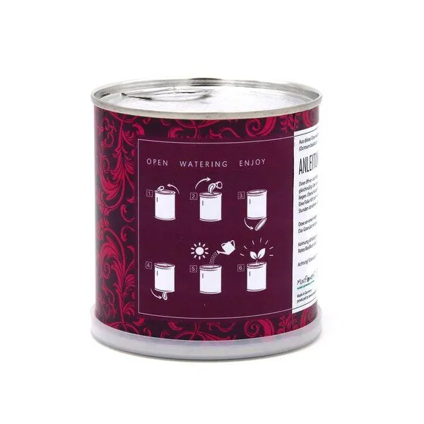 MacFlowers MacFlowers Pflanzen in der Dose - rotes Basilikum, Lila, – Produktbild 3 von 4