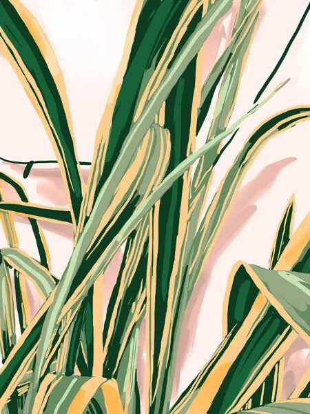 Photocircle Photocircle Poster / Leinwandbild - Blush Botanical Unfolding – Produktbild 1 von 4