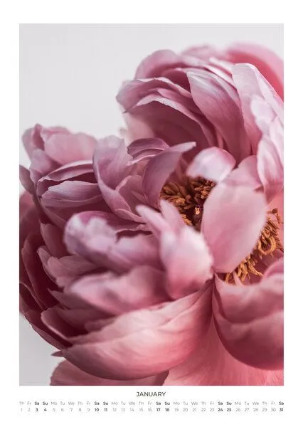 Photocircle Photocircle Blumen Wandkalender 2027 – In Bloom – Produktbild 4 von 4