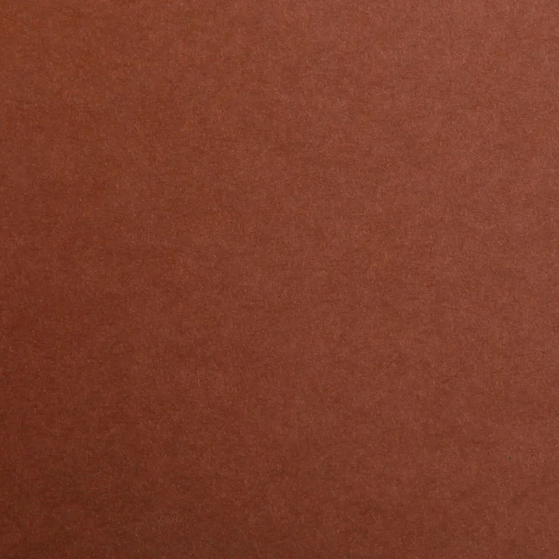 Clairefontaine Clairefontaine Tonzeichenpapier 50x70cm Braun, Braun, – Produktbild 1 von 1
