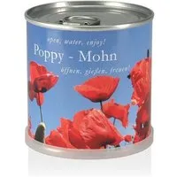 MacFlowers MacFlowers Pflanzen in der Dose - Mohn – Produktbild 1 von 1