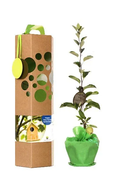 SchenkeinBäumchen SchenkeinBäumchen Happy New Home Baum – Produktbild 2 von 6