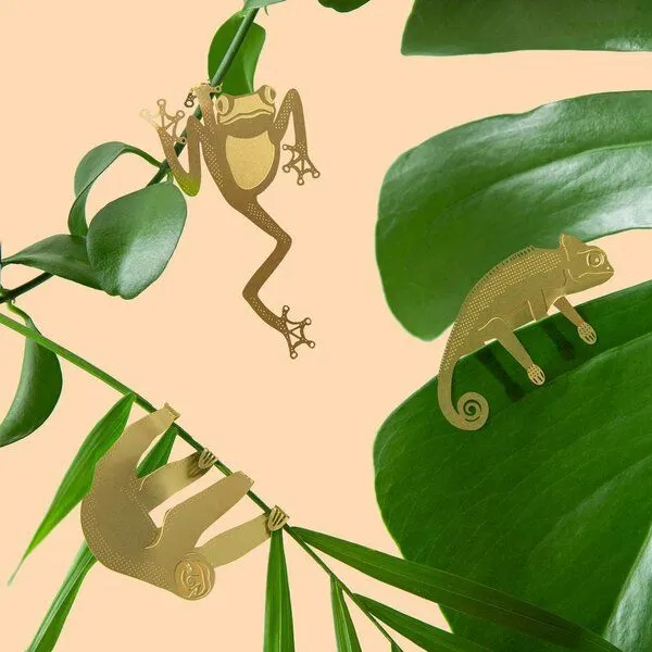 another studio another studio Plant Animal - Design Pflanzendekoration - Figuren aus Messing, Chamäleon, – Produktbild 4 von 4