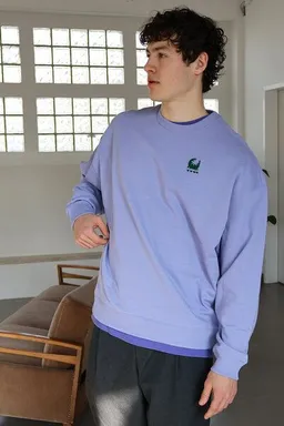 Kultgut Kultgut ProPlanet - Artdesign - Biofair Sweatpullover / an ordinary crocodile – Produktbild 1 von 1