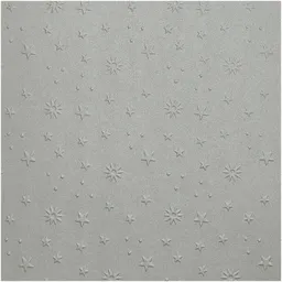 folia folia Prägekarton Sterne 50x70cm 220g/m² Silber – Produktbild 1 von 1