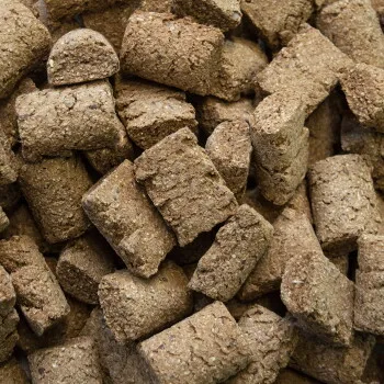 Speed Speed delicious speedies CRACKER 2,5 kg – Produktbild 2 von 2