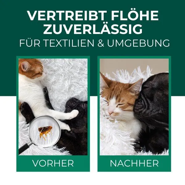 Silberkraft Silberkraft Flohspray Textil & Umgebung inkl. E-Book – Produktbild 2 von 4