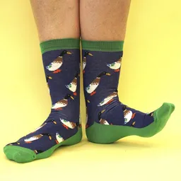 Fräulein Prusselise Fräulein Prusselise Ente Socken blau grün bunt gemustert – Produktbild 1 von 1