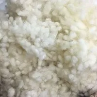 Pat und Patty Pat und Patty Schurwollkügelchen/Wollkügelchen Nachfüllmaterial aus 100% Schurwolle kbT, naturweiss, 500 g / 1000 g, spielzeugtauglich DIN EN 71-3 – Produktbild 1 von 1