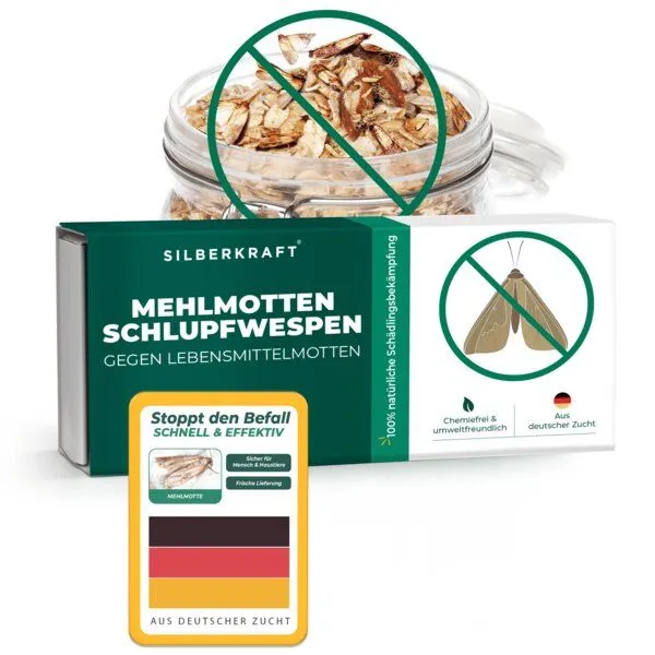 Silberkraft Silberkraft Mehlmottenschlupfwespen gegen Mehlmotten & Lebensmittelmotten Brackwespe Habrobracon hebetor - Schlupfwespen 40 Stück – Produktbild 1 von 4