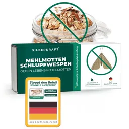 Silberkraft Silberkraft Mehlmottenschlupfwespen gegen Mehlmotten & Lebensmittelmotten Brackwespe Habrobracon hebetor - Schlupfwespen 40 Stück – Produktbild 1 von 1