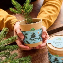 Die Stadtgärtner Die Stadtgärtner Weihnachtsbaum aus dem Becher I Anzuchtset I Nachhaltiges Weihnachtsgeschenk – Produktbild 1 von 1